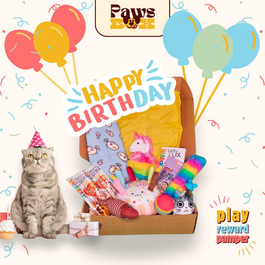 HAPPY BIRTHDAY! Cat Gift Box