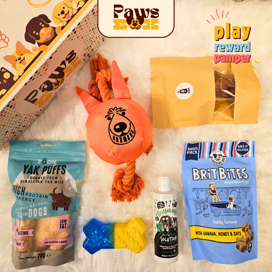 Big Dog Gift Box