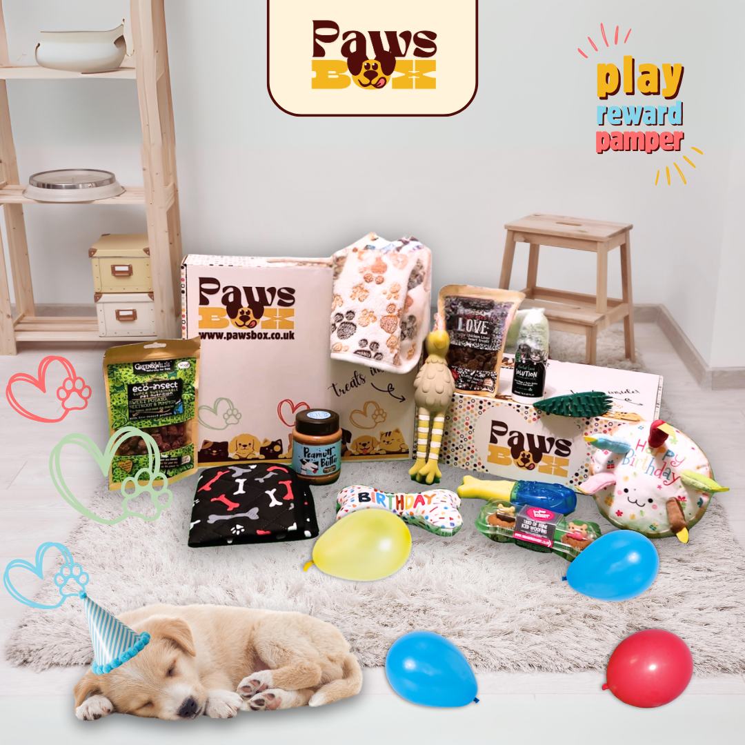 HAPPY BIRTHDAY! Dog Gift Box