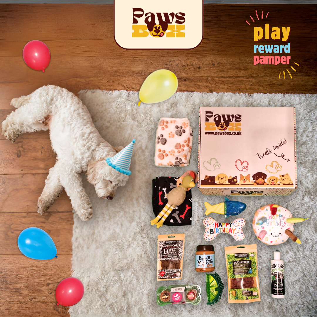 HAPPY BIRTHDAY! Dog Gift Box