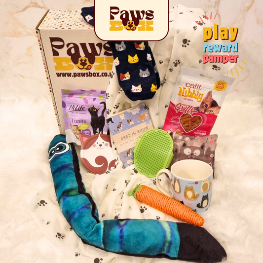 Cat Lover's Christmas Gift Box