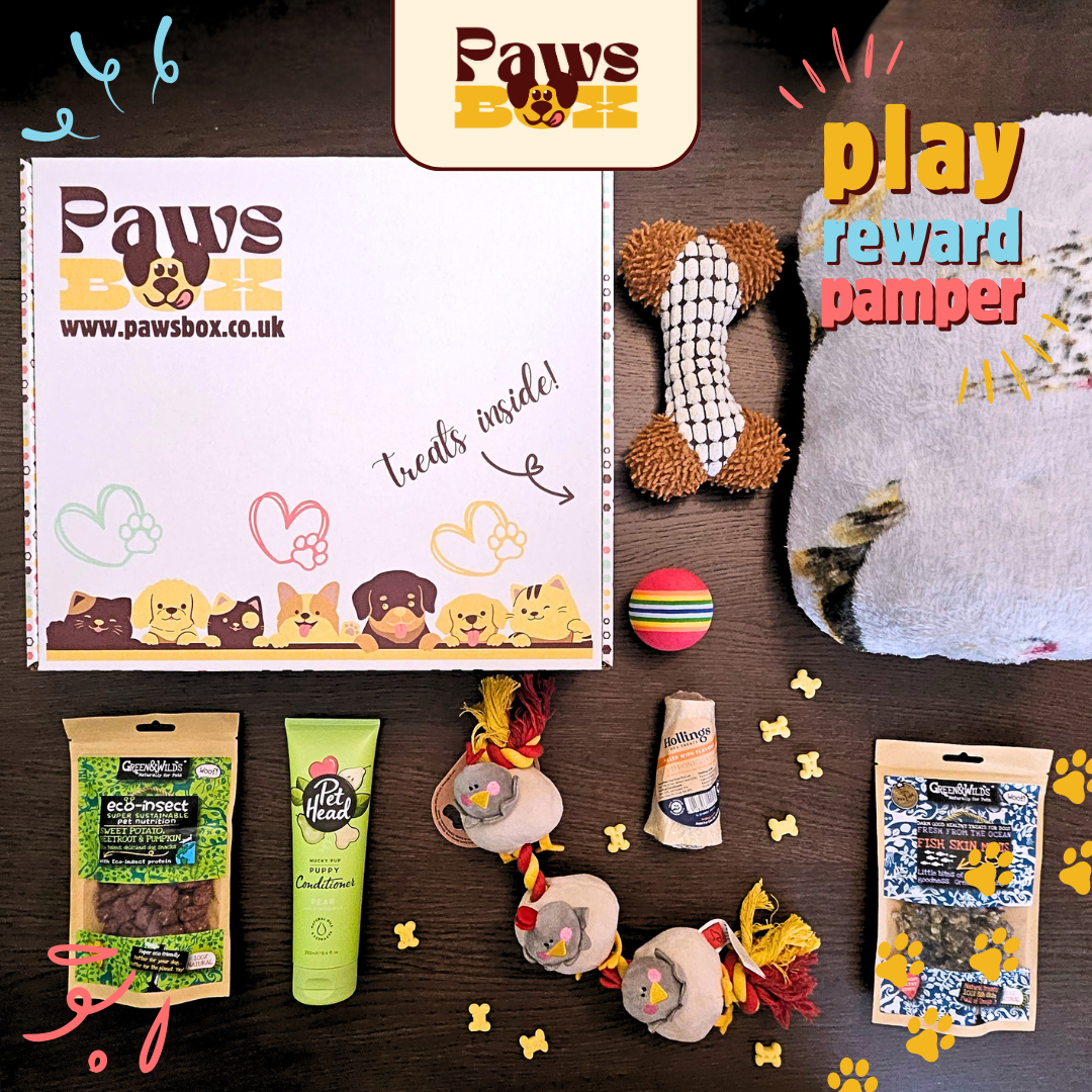 The Tail Wagging Dog Gift Box