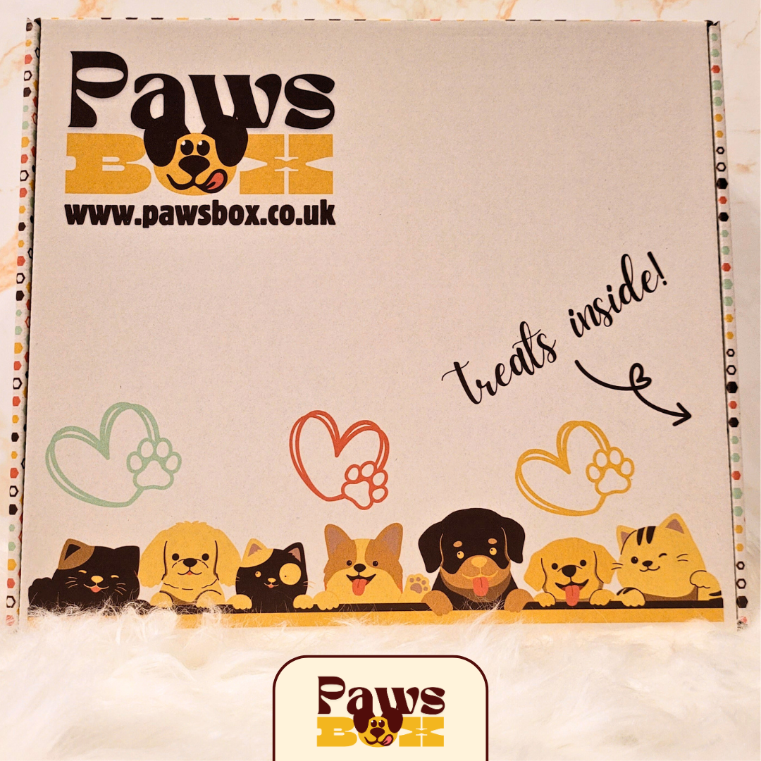 The Tail Wagging Dog Gift Box