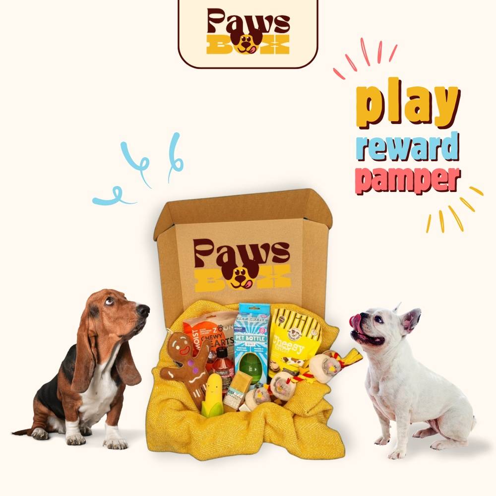 The Tail Wagging Dog Gift Box