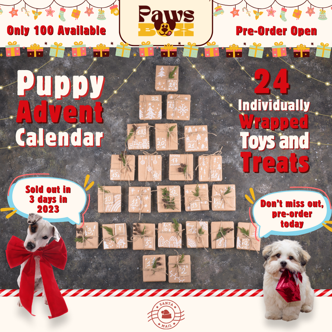 Puppy Advent Calendar