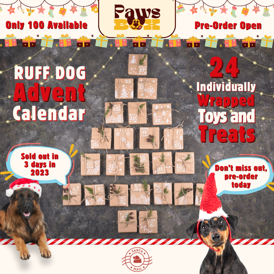 Big Dog Advent Calendar