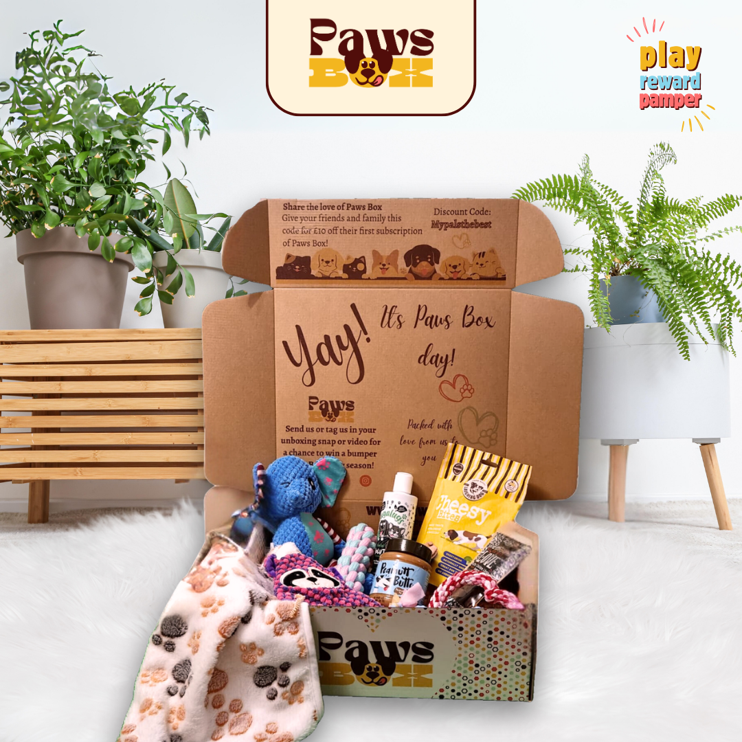 The New Puppy Gift Box Paws Box