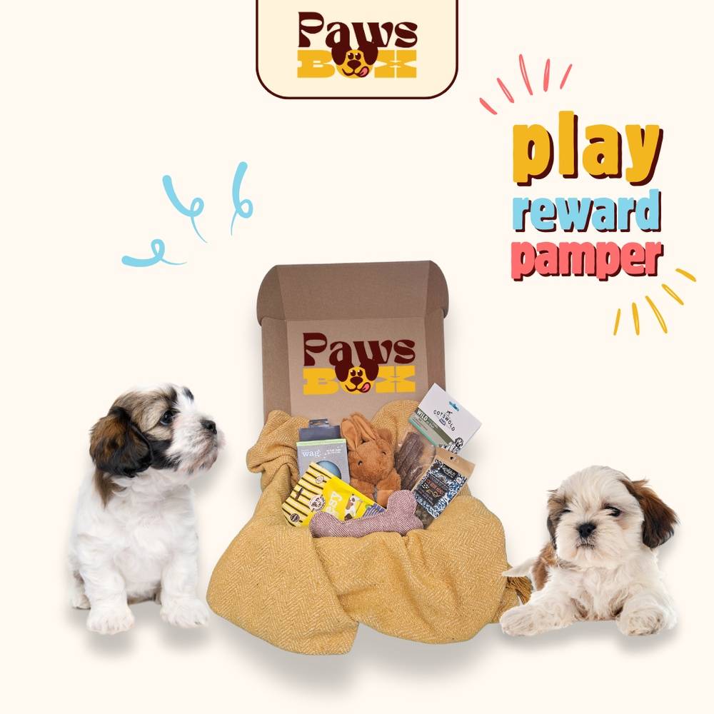 The New Puppy Gift Box