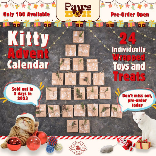 Ultimate Cat Christmas Advent Calendar