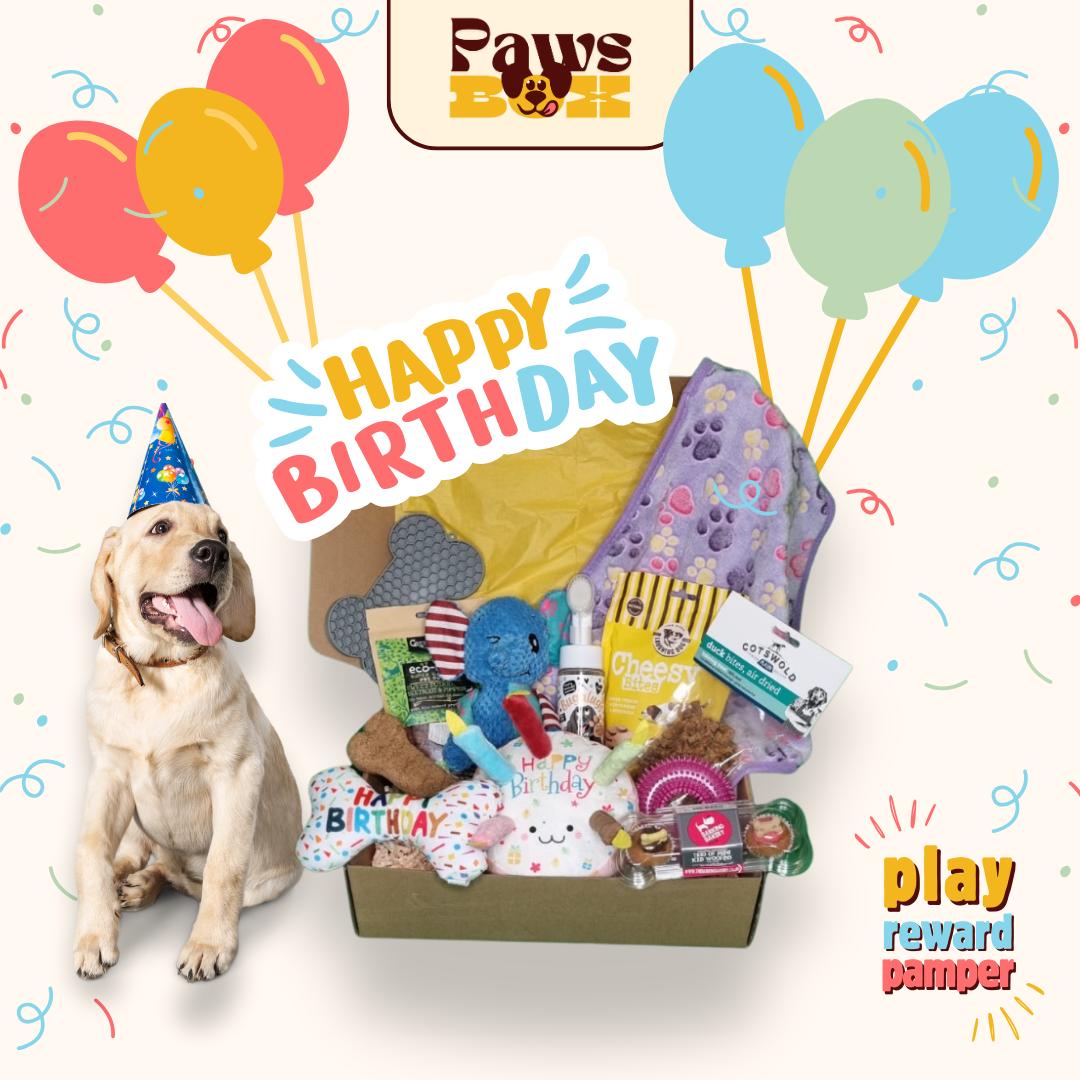 HAPPY BIRTHDAY! Dog Gift Box